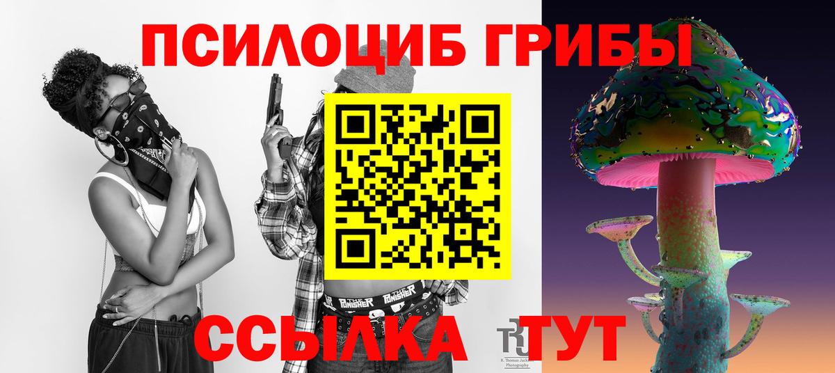 Псилоцибиновые грибы Psilocybine cubensis Гуково