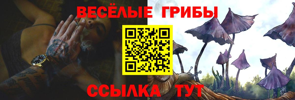 Гуково  закладка  Вход с VPN  Псилоцибиновые грибы Cubensis  Галлюциногенные грибы ЛСД 